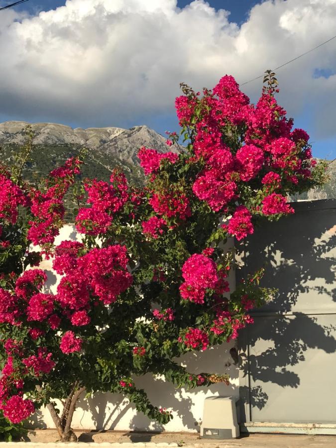 Villa 61 Sea And Sunset View Dhërmi Εξωτερικό φωτογραφία